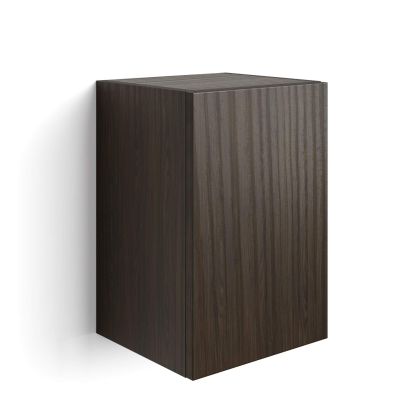 Iacopo Cube Wall Unit with Door, Dark Walnut main image