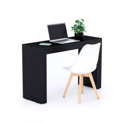 Table de bureau Evolution 120x40, Frêne Noir avec 2 pieds image principale