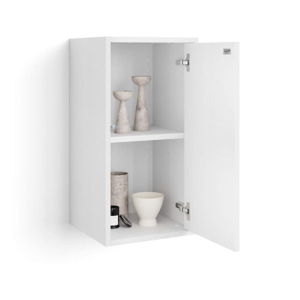 Iacopo Wall Unit 27.55 in, with Vertical Door, Ashwood White detail image 1